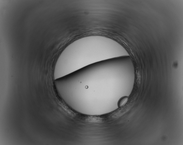 X0000102460617200808080946