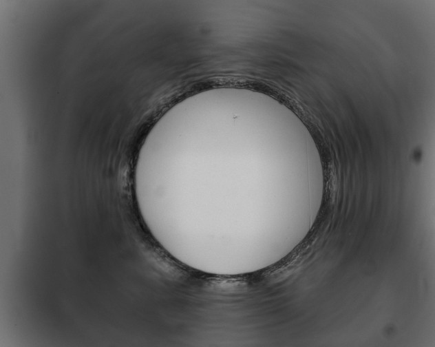 X0000102460619200808080946