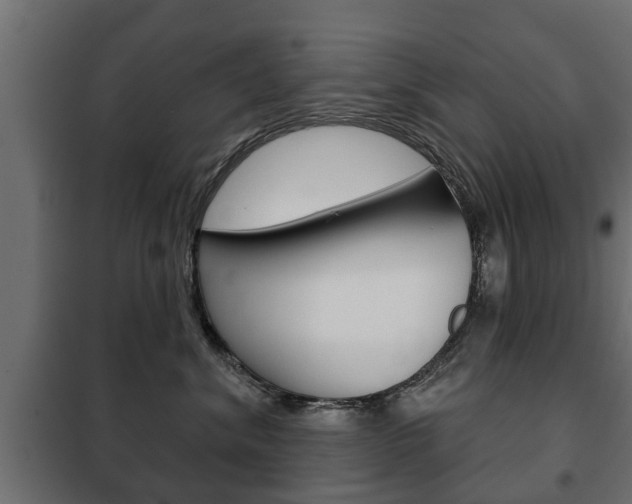 X0000102460620200808080946