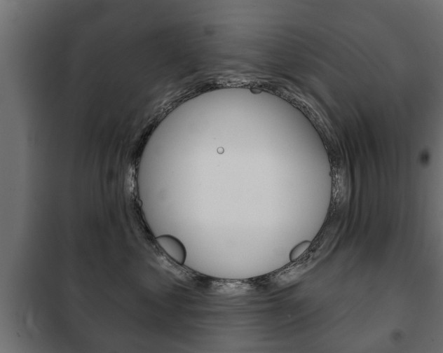 X0000102460621200808080946