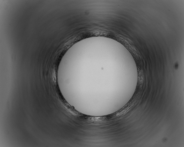 X0000102460622200808080946