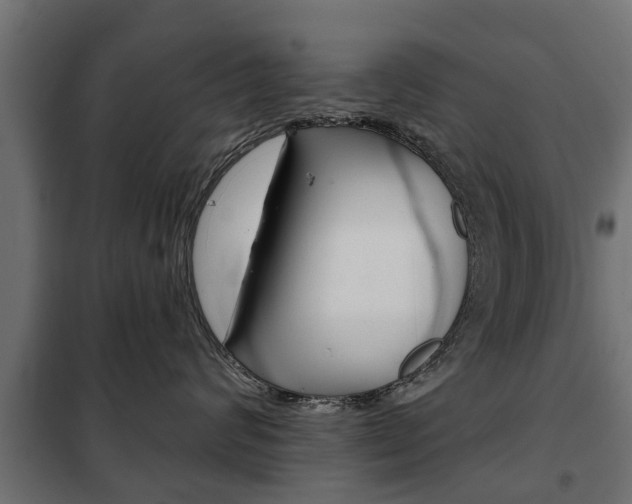 X0000102460624200808080946