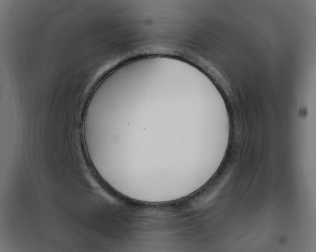 X0000102460625200808080945