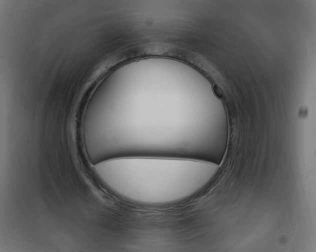 X0000102460626200808080945