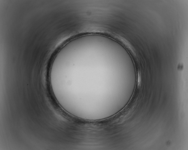 X0000102460627200808080945