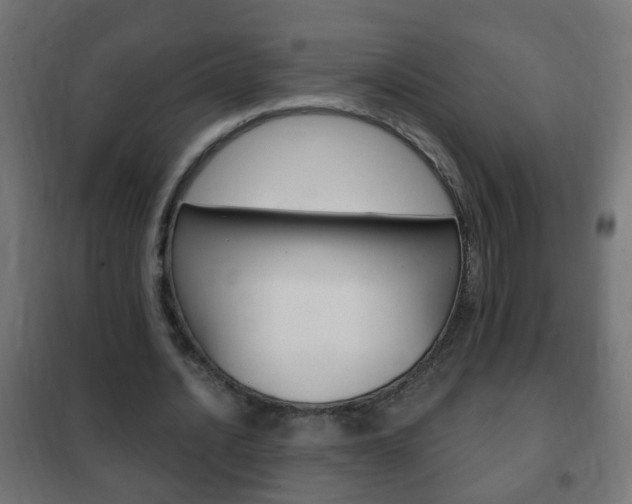 X0000102460628200808080945