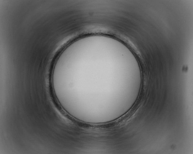 X0000102460629200808080945