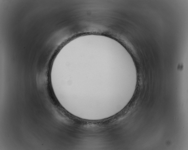 X0000102460632200808080945