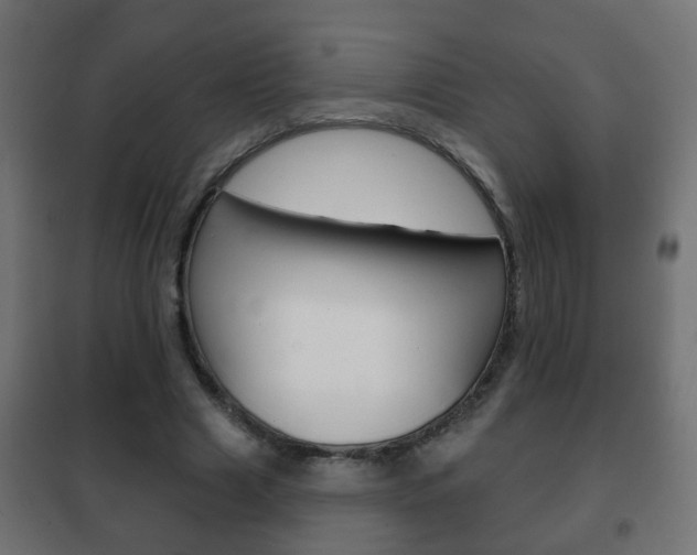 X0000102460633200808080945
