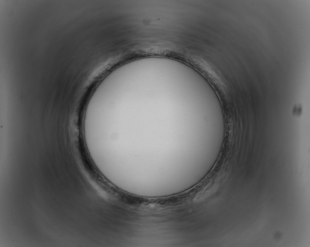 X0000102460634200808080945