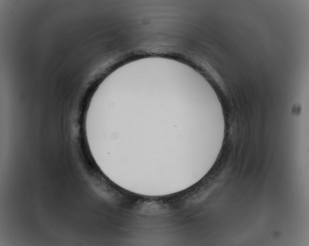 X0000102460635200808080945