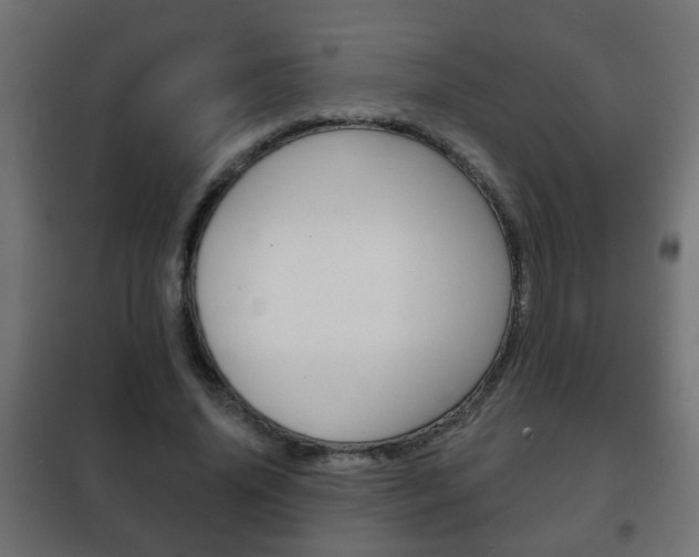X0000102460636200808080945