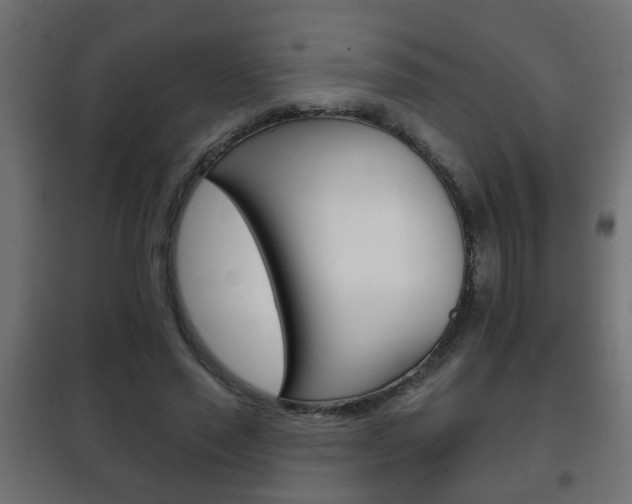 X0000102460637200808080945