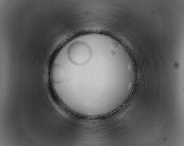 X0000102460638200808080945