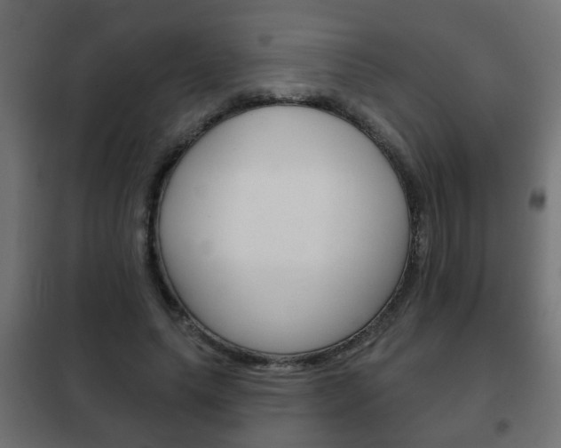 X0000102460639200808080945