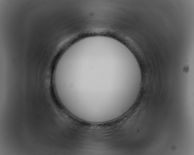 X0000102460640200808080945