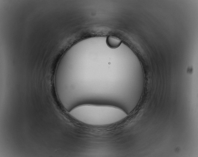 X0000102460641200808080945