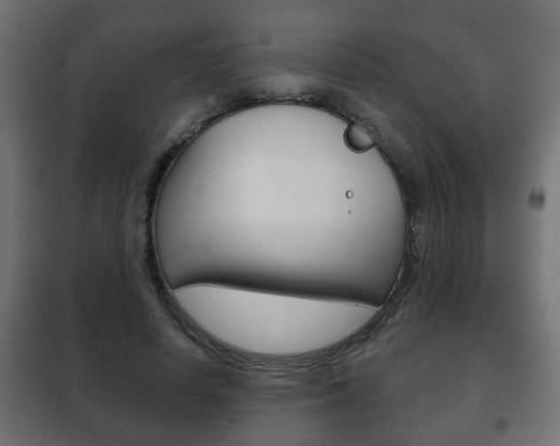 X0000102460642200808080945