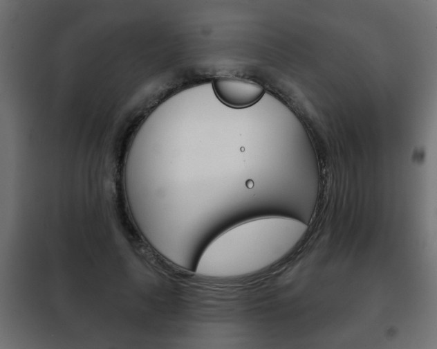X0000102460643200808080945