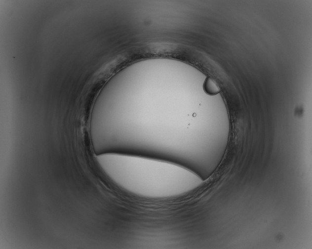 X0000102460644200808080945