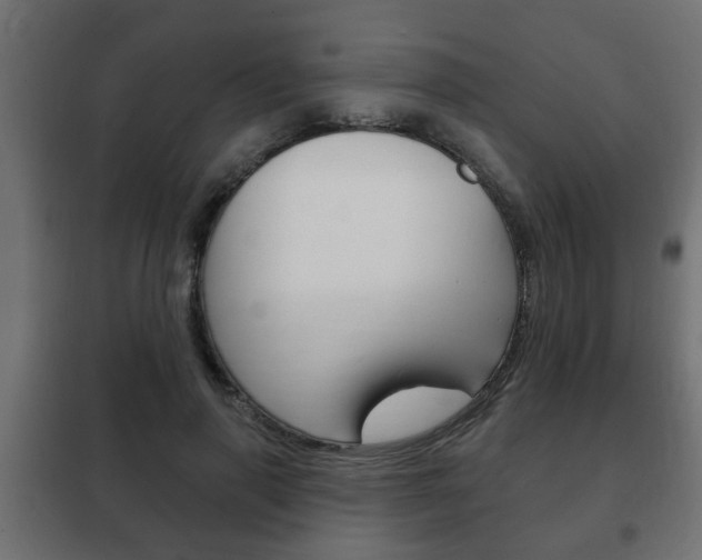 X0000102460645200808080945