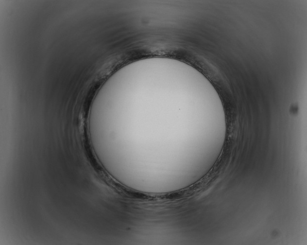 X0000102460646200808080945