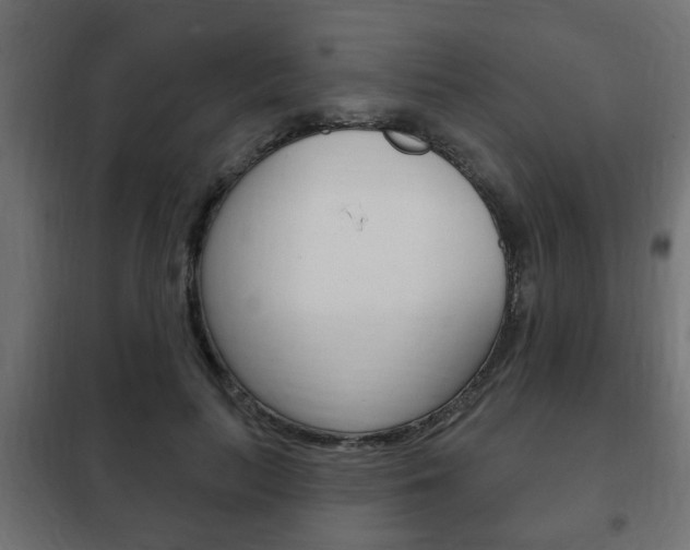 X0000102460647200808080945