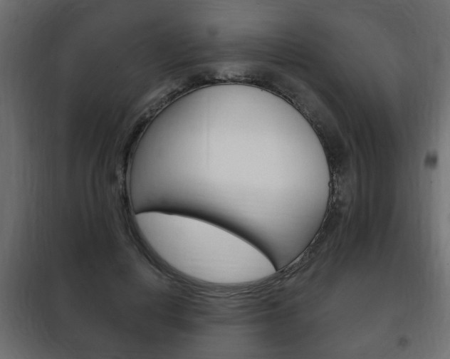 X0000102460648200808080945