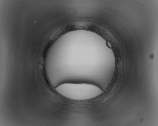 X0000102460649200808080945