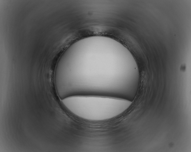 X0000102460650200808080945