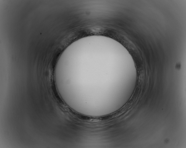 X0000102460651200808080945