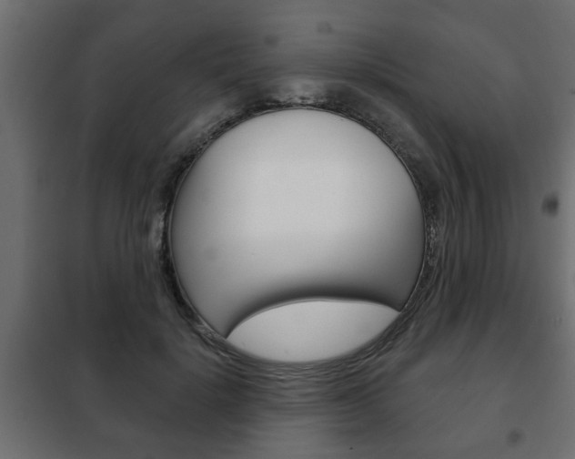 X0000102460652200808080945