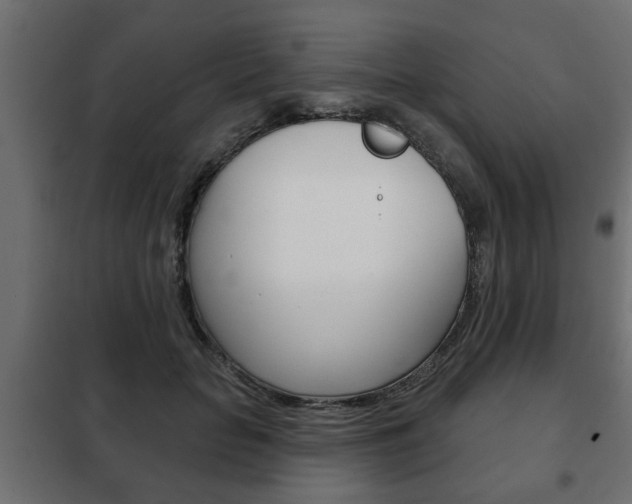 X0000102460653200808080945