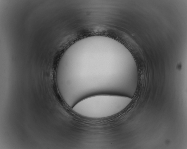 X0000102460654200808080946