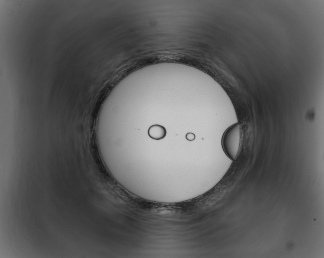 X0000102460655200808080946