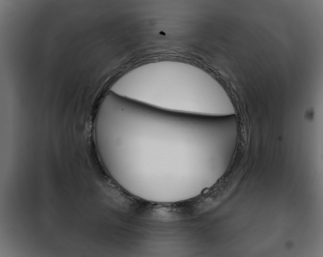 X0000102460657200808080946