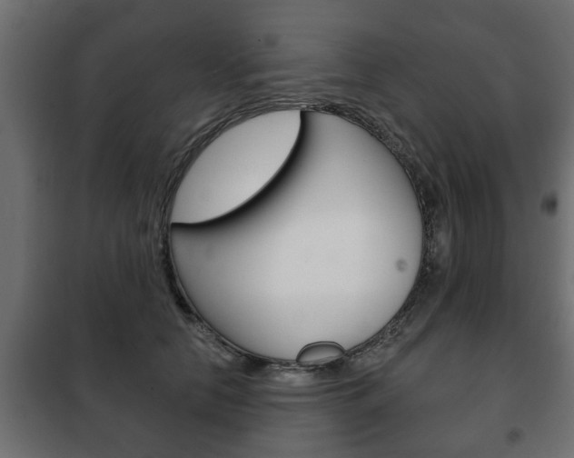 X0000102460658200808080946