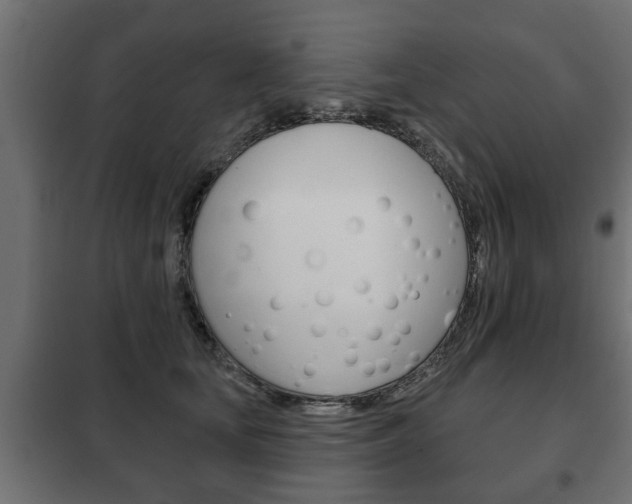 X0000102460659200808080946