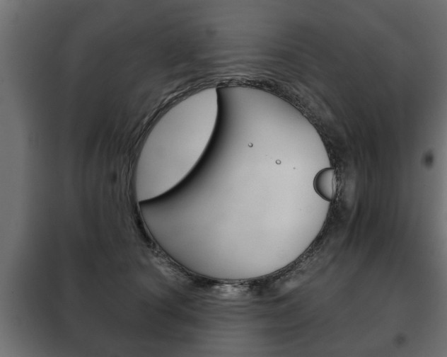 X0000102460660200808080946