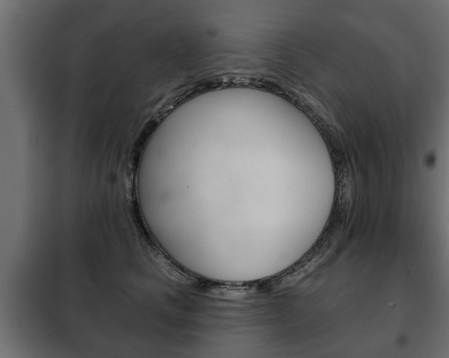 X0000102460661200808080946