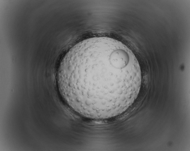 X0000102460662200808080946
