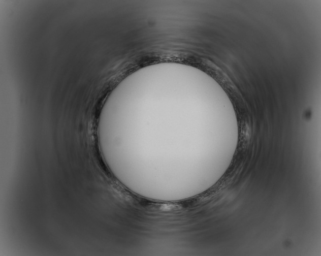 X0000102460663200808080946