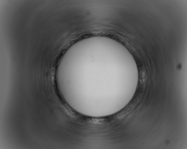 X0000102460664200808080946
