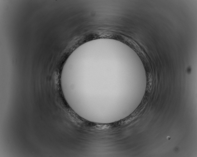 X0000102460667200808080946