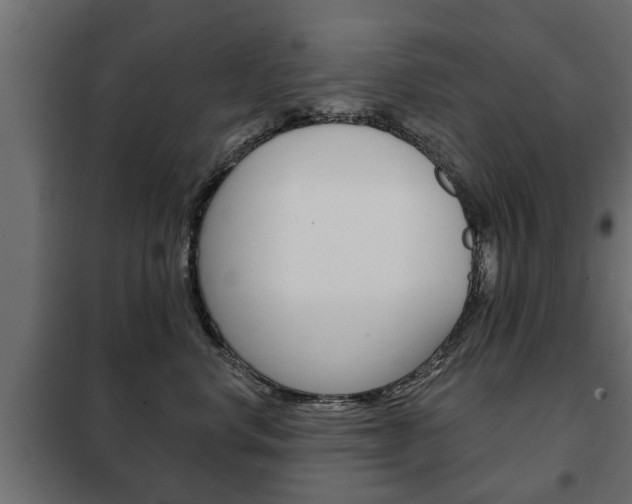 X0000102460668200808080946
