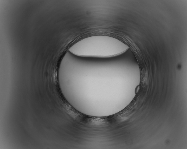 X0000102460669200808080946