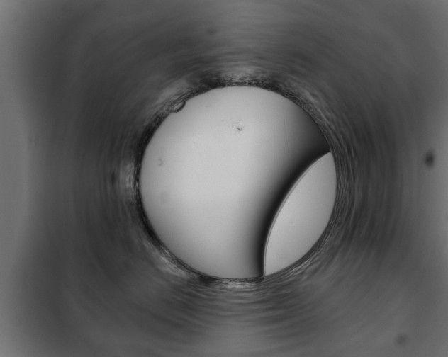 X0000102460670200808080946
