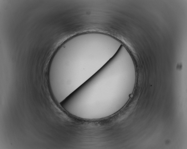 X0000102460673200808080945