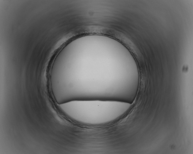 X0000102460674200808080945