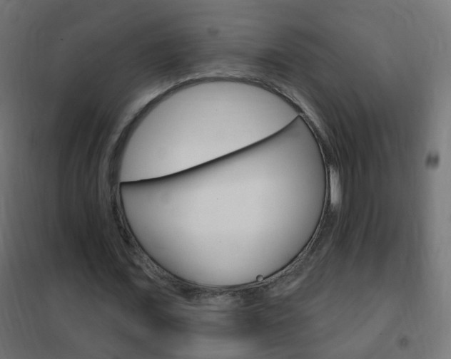 X0000102460675200808080945